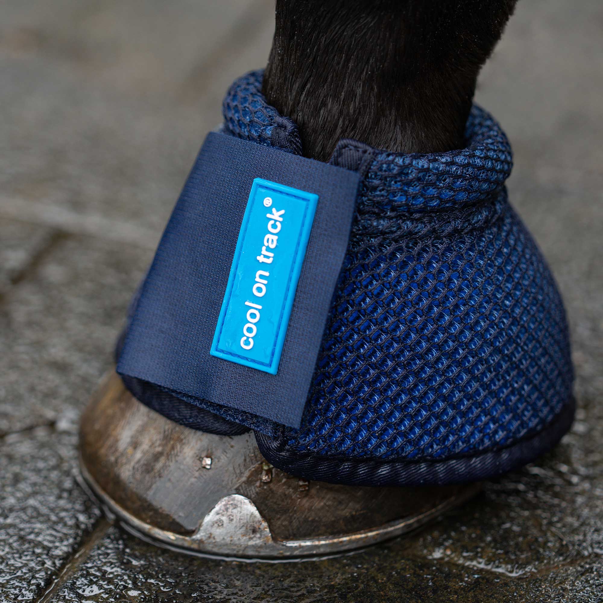 Back on Track Cool on Track Kylande Boots – Blå