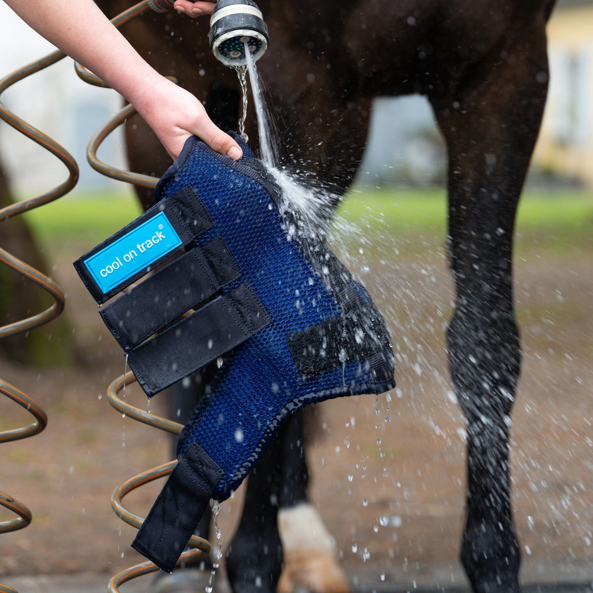 Back on Track Cool on Track Kylande Quick Wraps – Blå