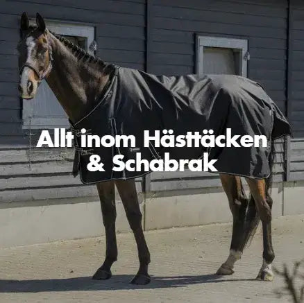 allt inom hästtäcke o schabrak till hästen
