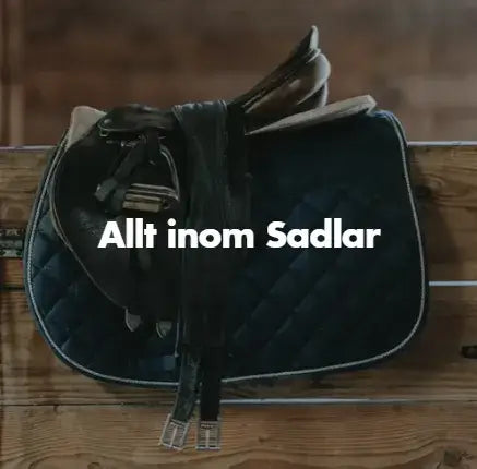 alla sadlar för alla sorters hästar och ryttare