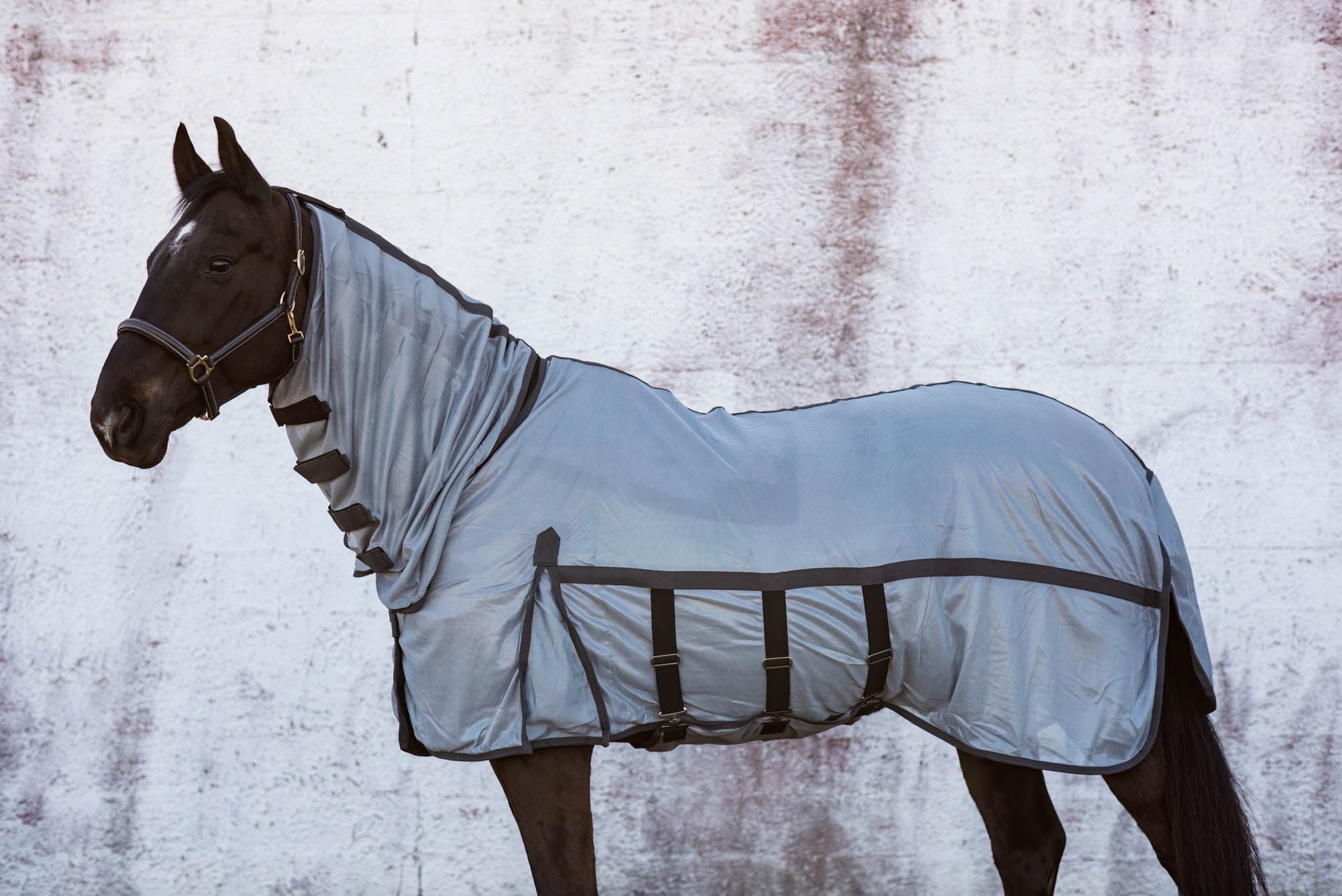 Jacson Kiruna Flugtäcke Med Hals - Grå