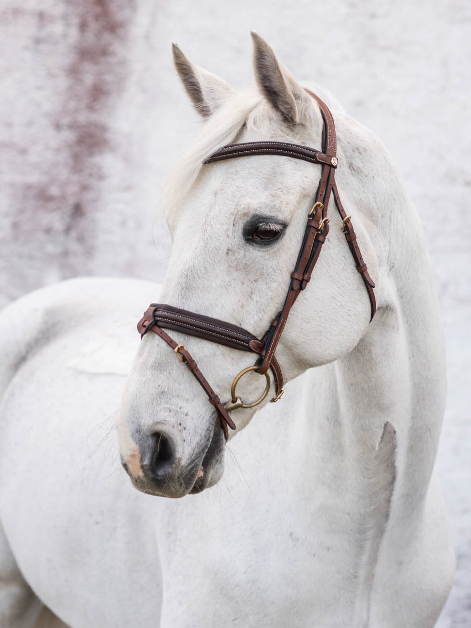 Jacson London Träns - Brun