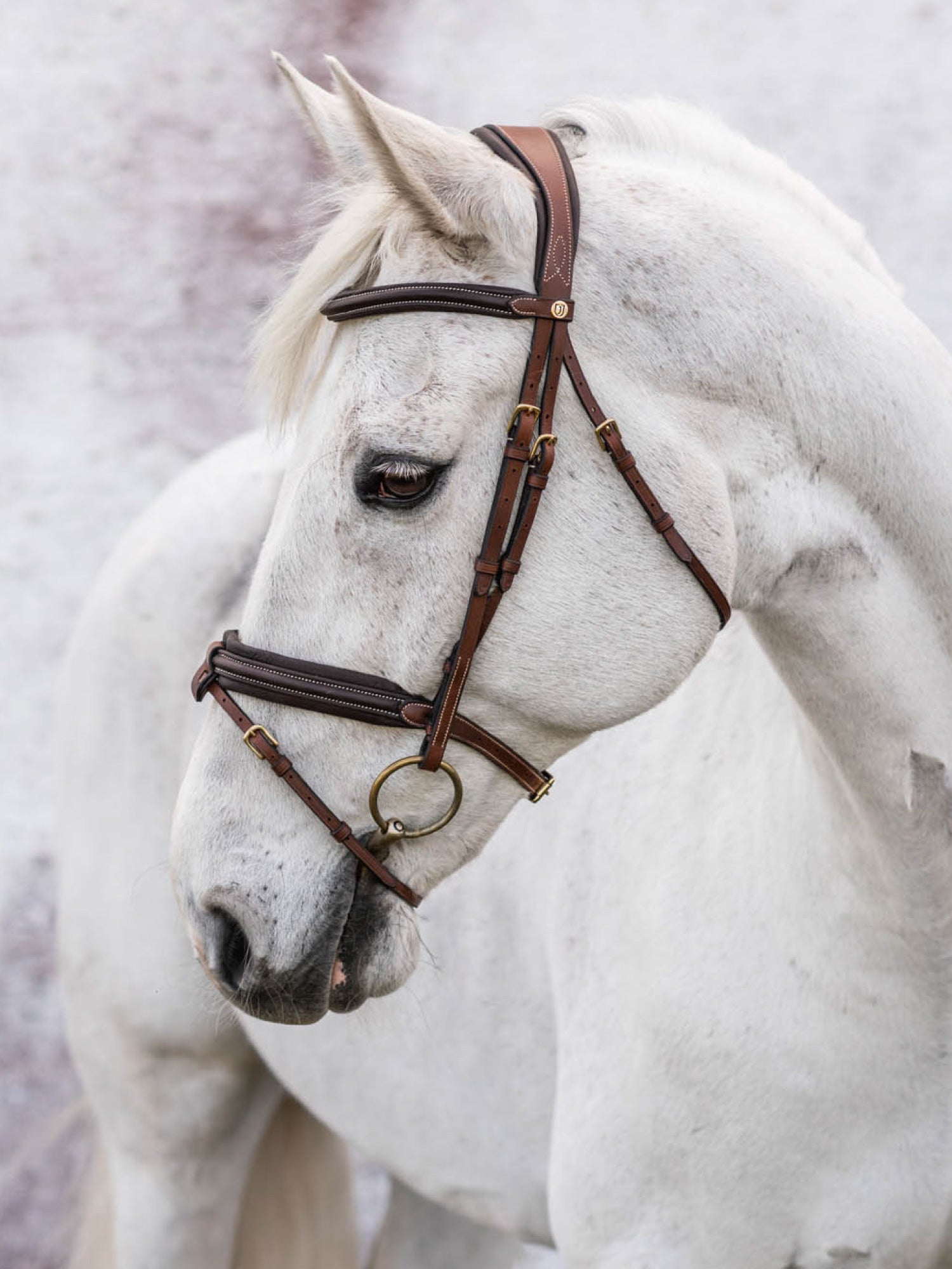 Jacson London Träns - Brun