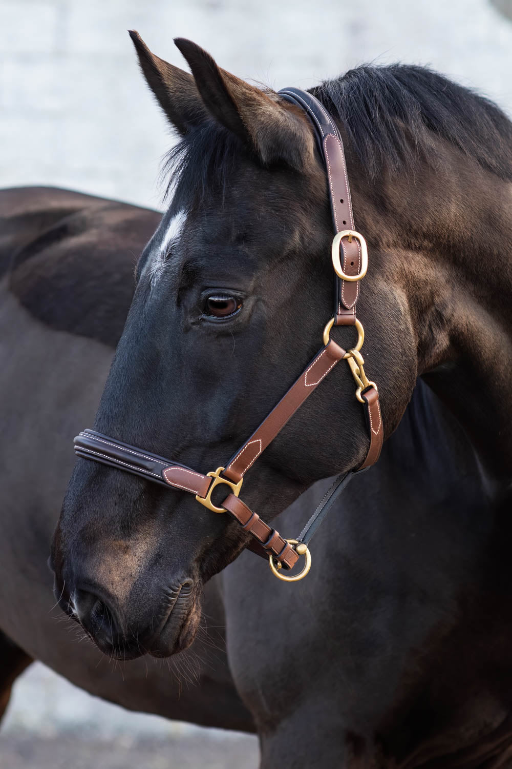 Jacson London Lädergrimma