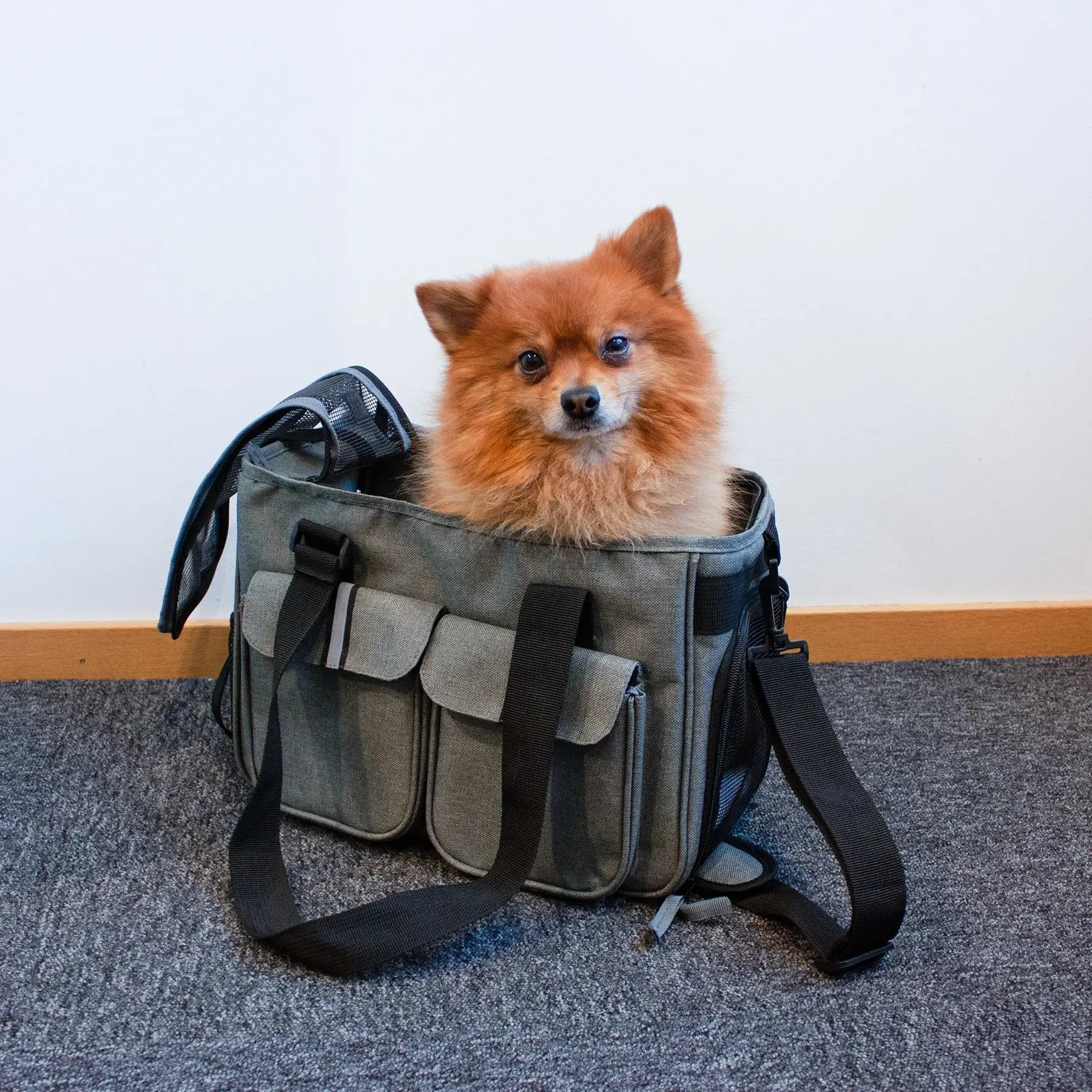 Dogman Bärväska Ludde Grå