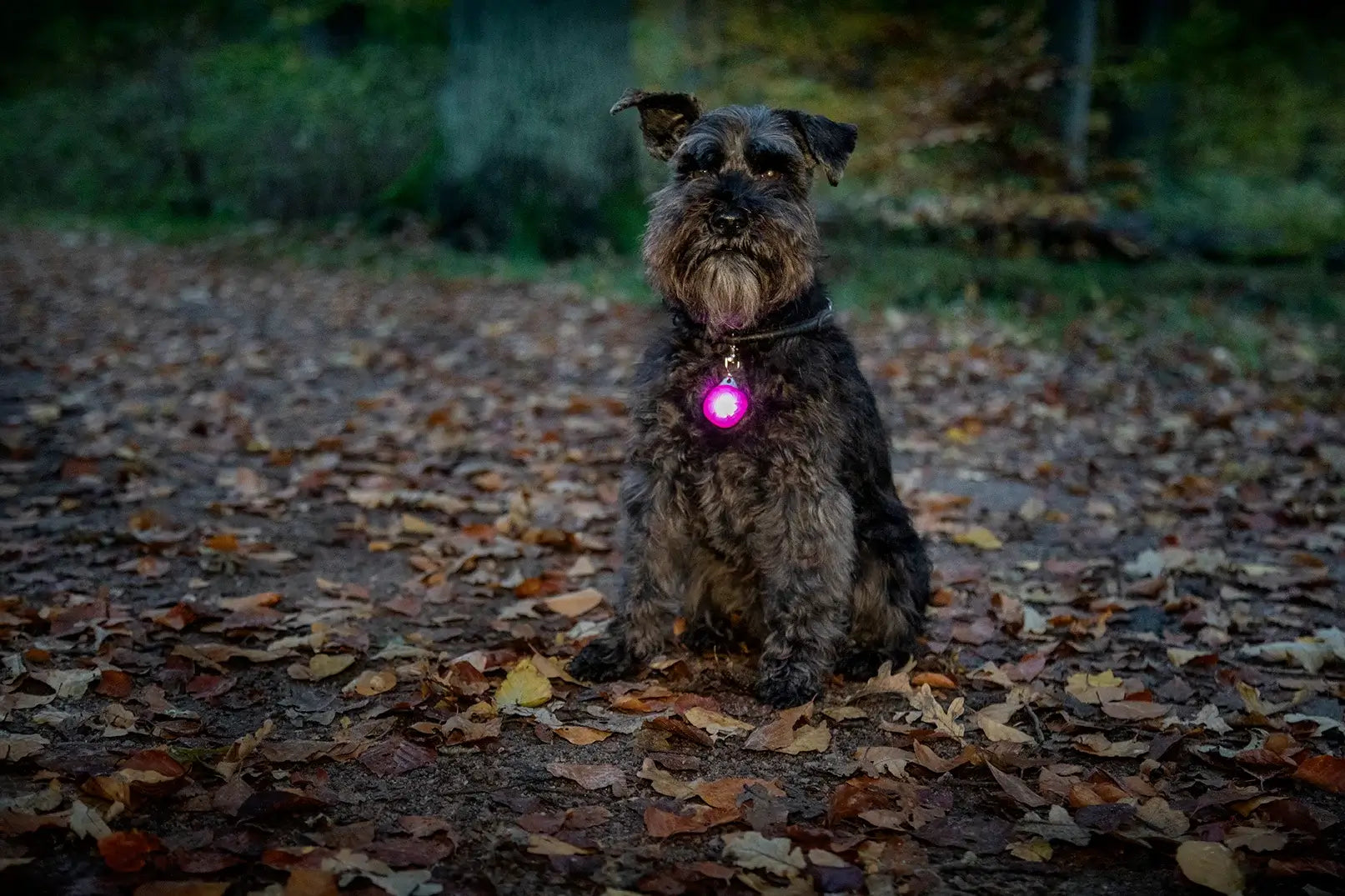 Dogman Blinklampa Burger Led - Gul