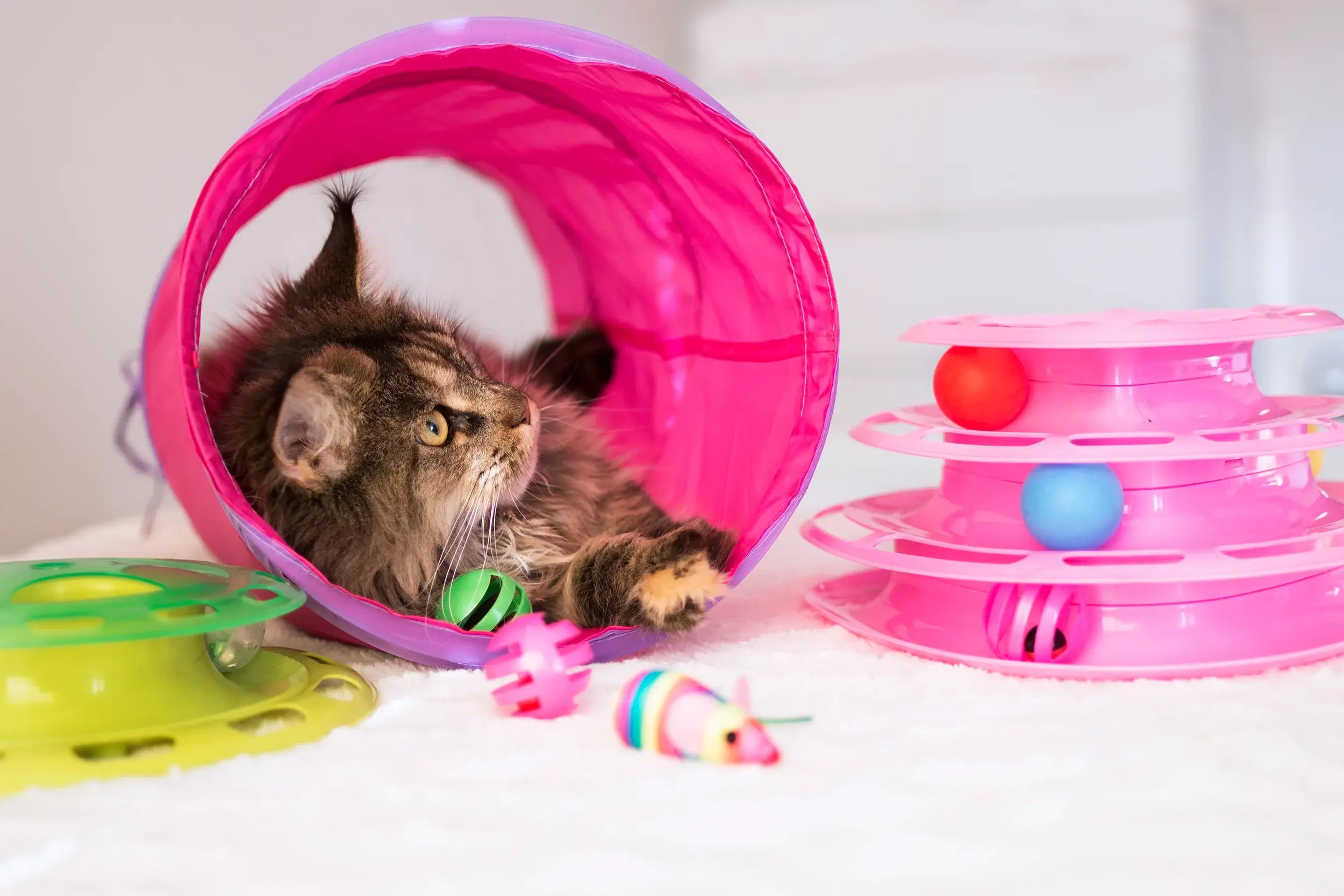 Dogman Kattleksak Tunnel Rosa