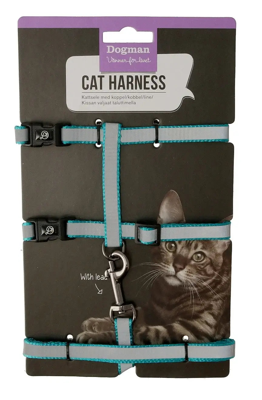 Dogman Kattsele-set Stina Turkos