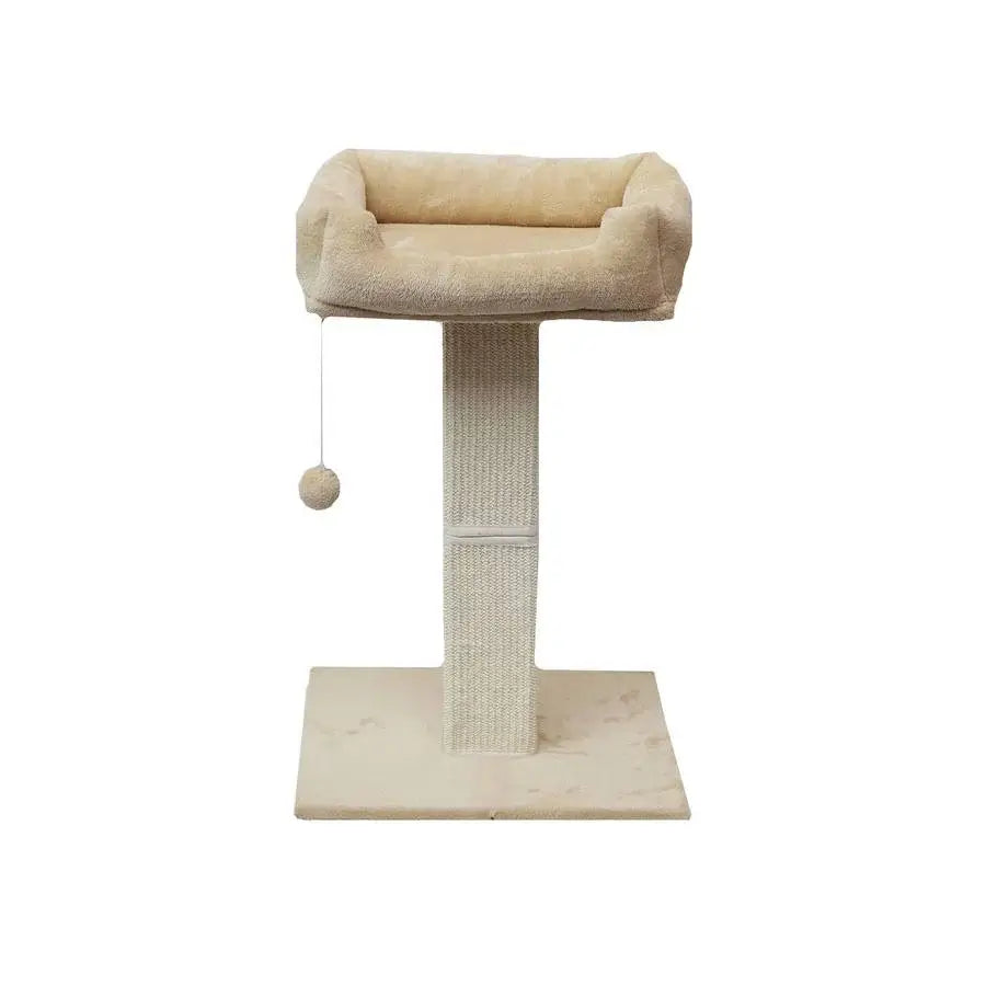 Dogman Klöspelare Ziggy