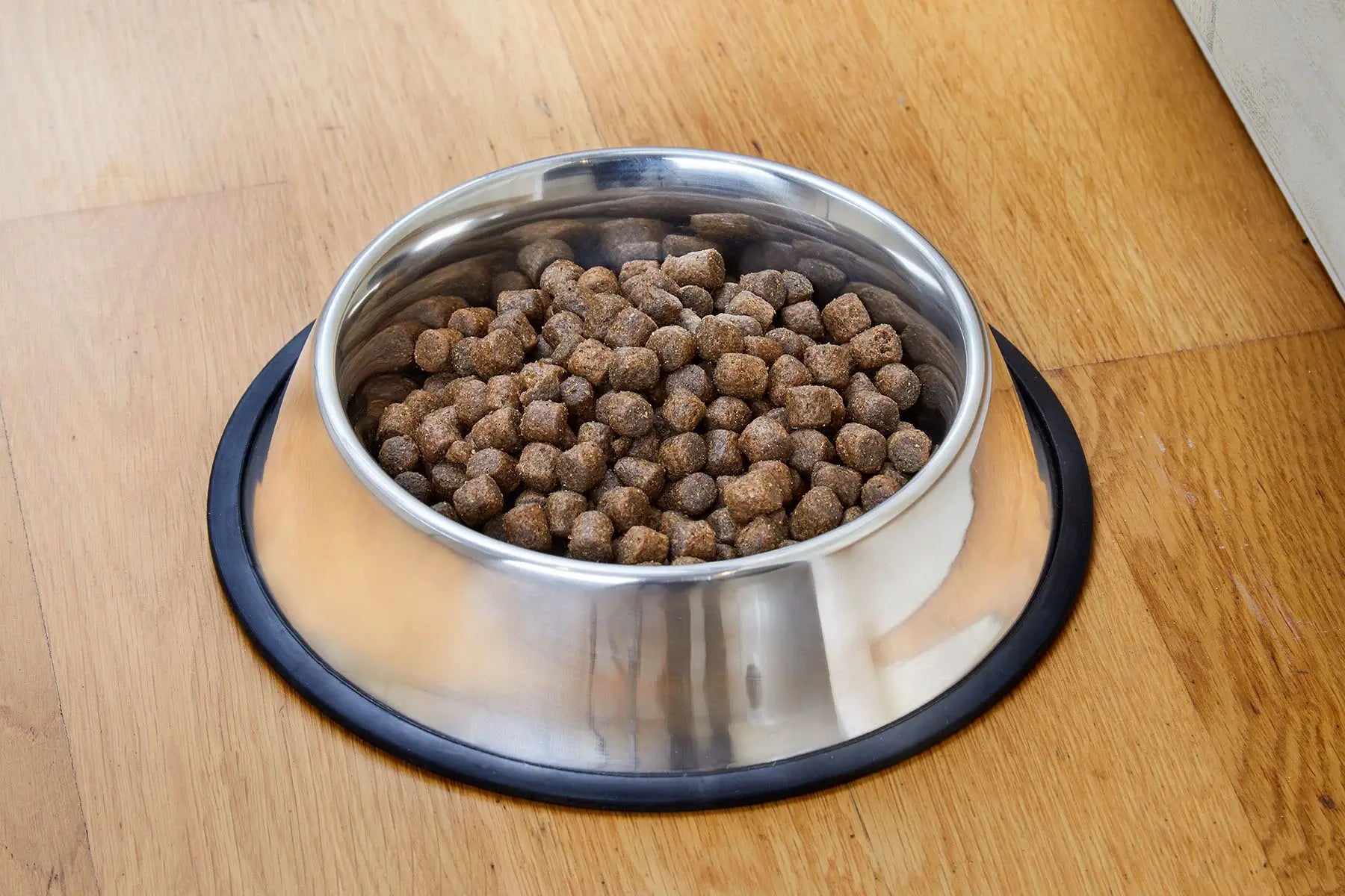 Dogman Matskål Med Antiglid Kant