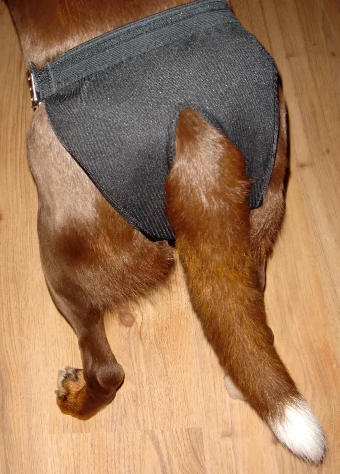 Dogman Tikskydd Justerbart