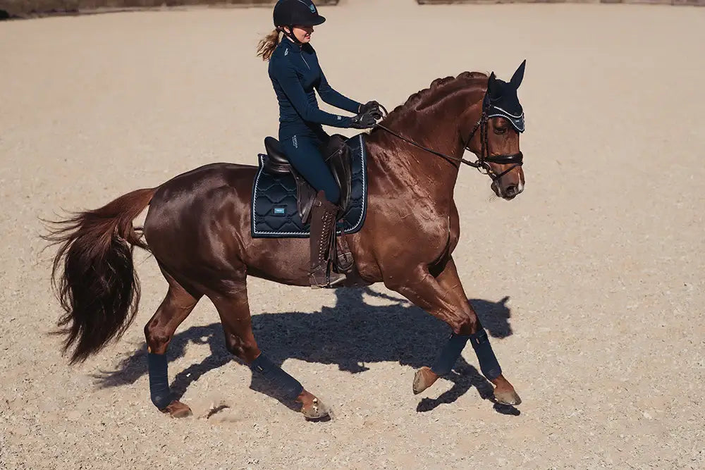 Equestrian Stockholm Benlindor - Midnight blue