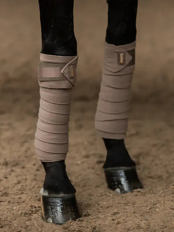 Equestrian Stockholm Benlindor - Champagne