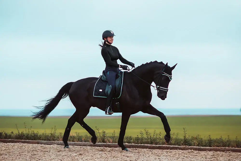 Equestrian Stockholm Benlindor - Black Edition