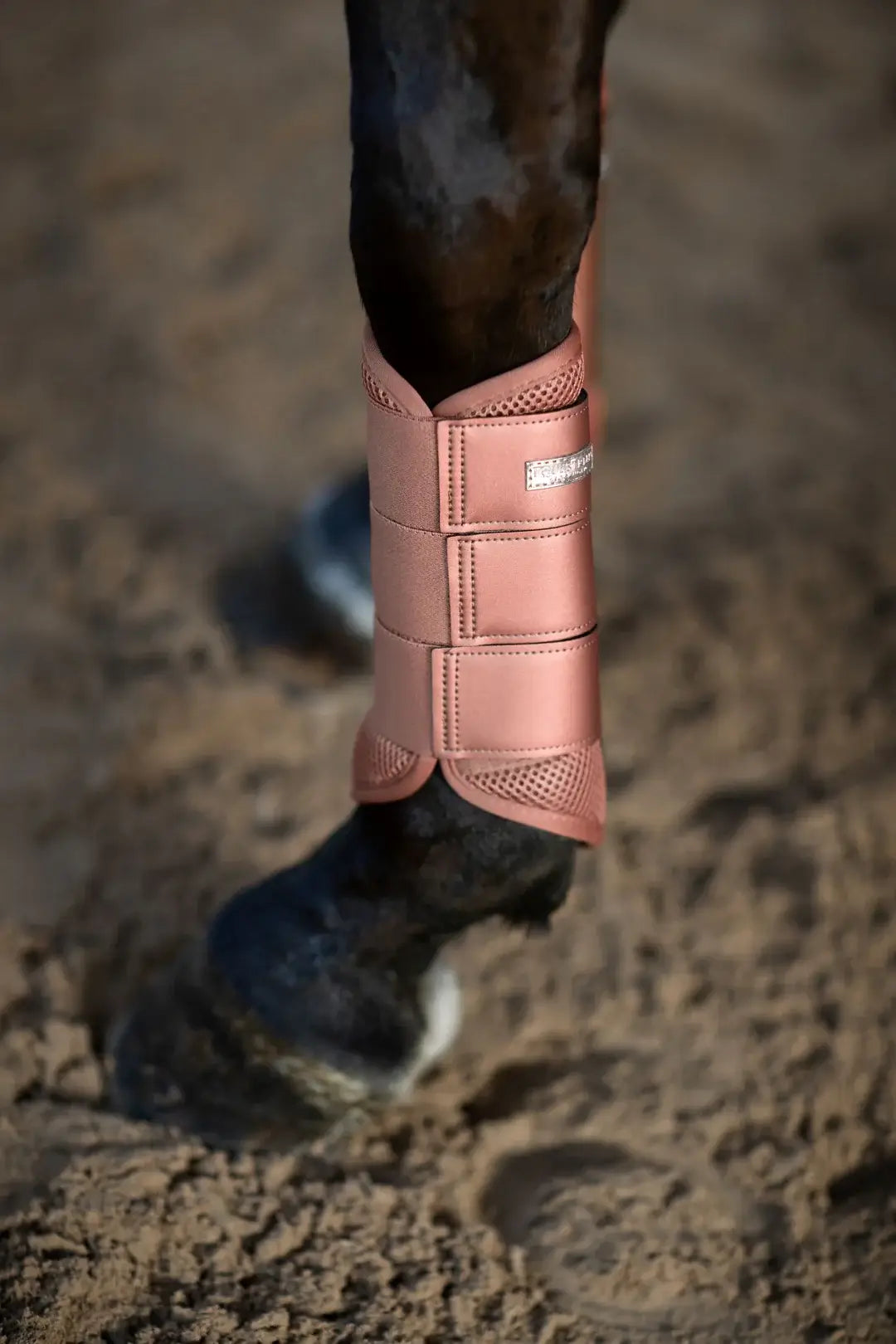 Equestrian Stockholm Classic Mesh Benskydd - Coral