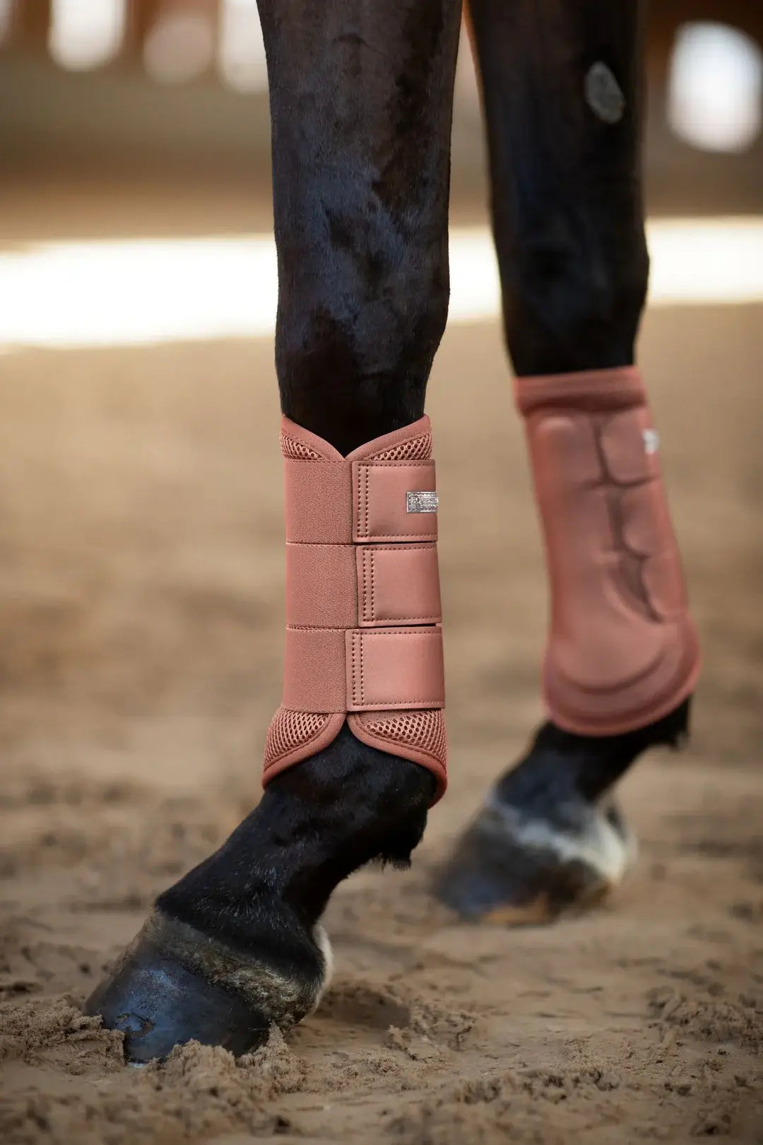 Equestrian Stockholm Classic Mesh Benskydd - Coral