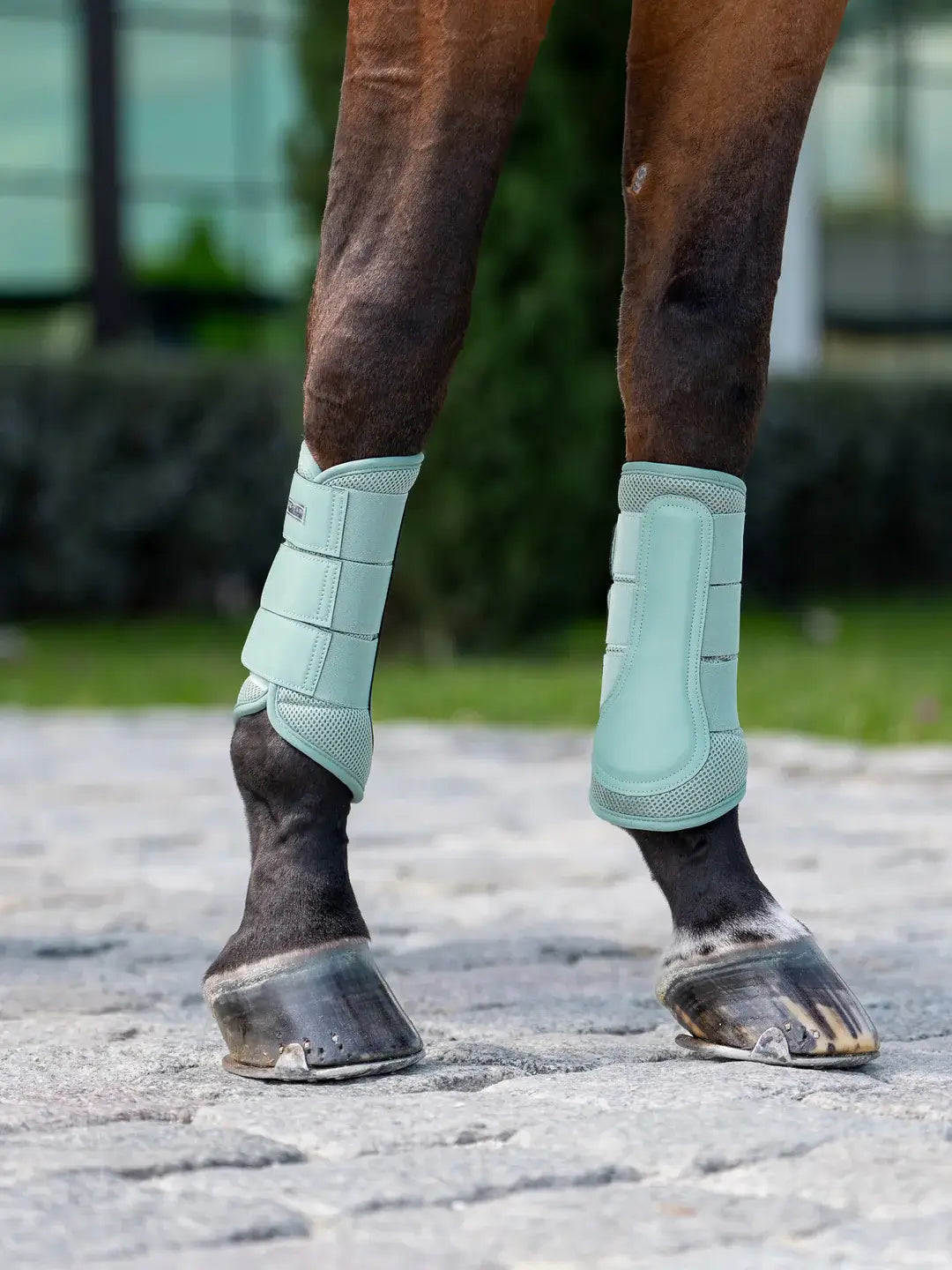 Equestrian Stockholm Classic Mesh Benskydd - Mint green