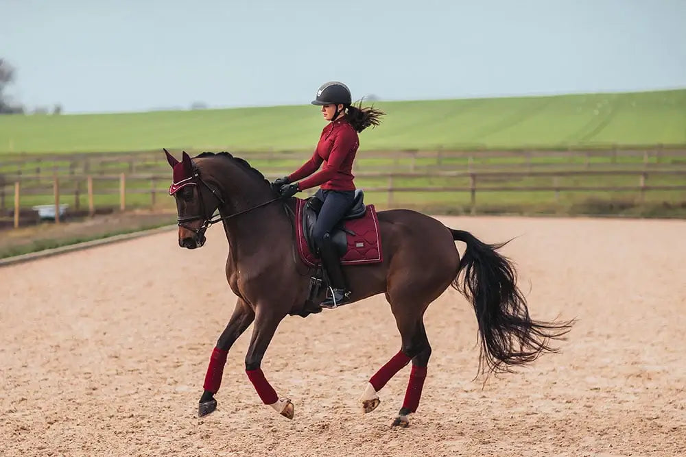 Equestrian Stockholm Dressyrschabrak - Bordeaux