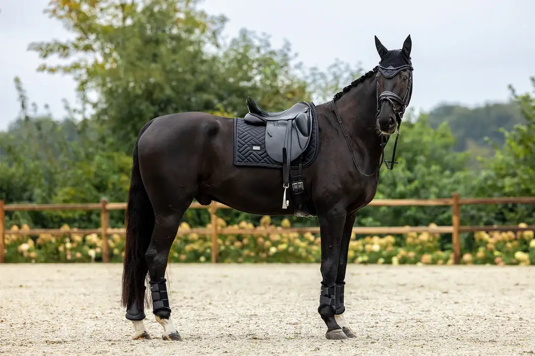 Equestrian Stockholm Dressyrschabrak - Modern Black