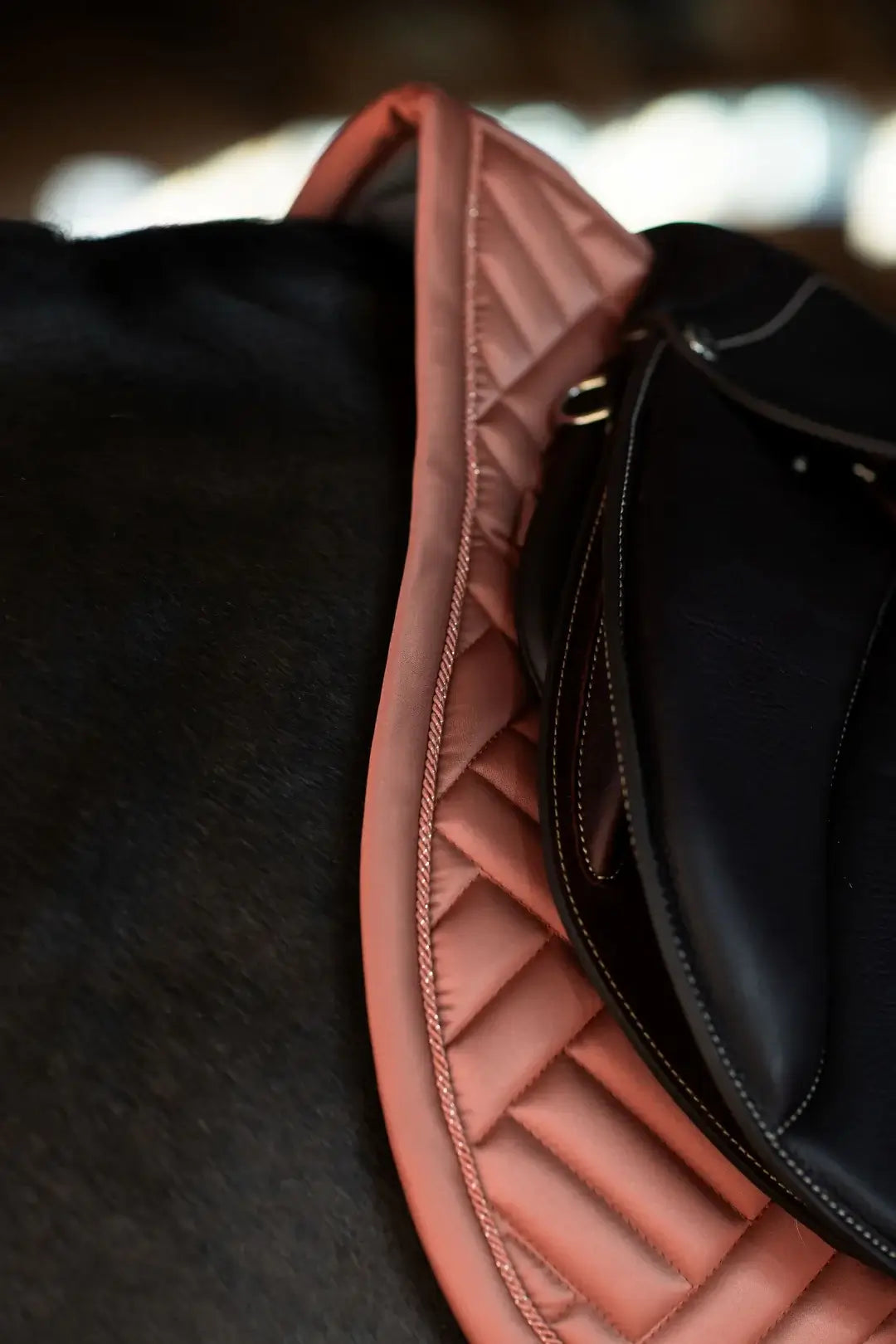 Equestrian Stockholm Hoppschabrak - Coral