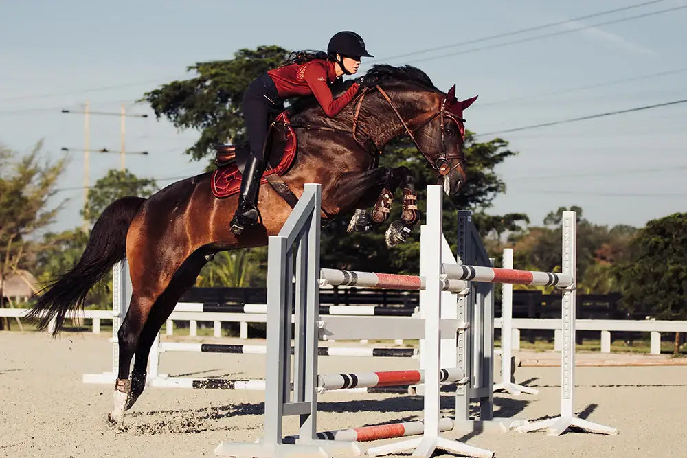 Equestrian Stockholm Hoppschabrak - Bordeaux