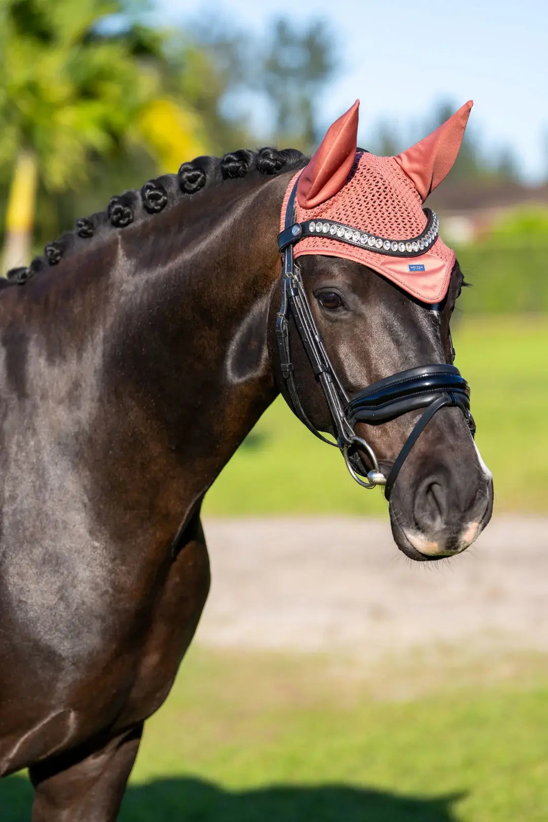Equestrian Stockholm Huva - Coral