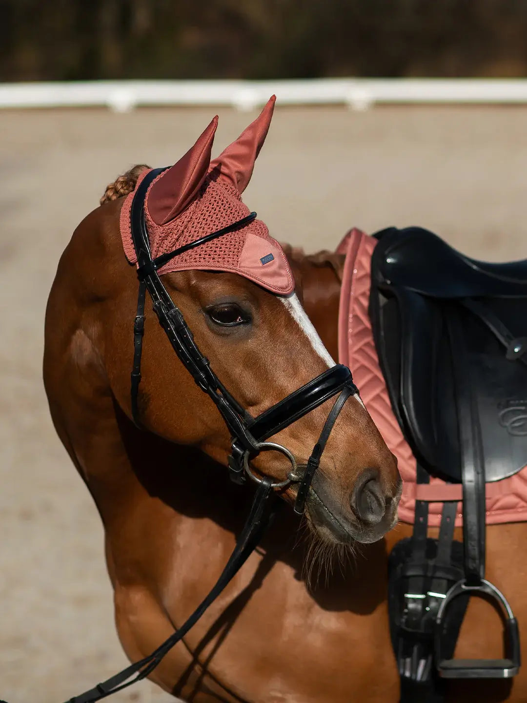 Equestrian Stockholm Huva - Coral