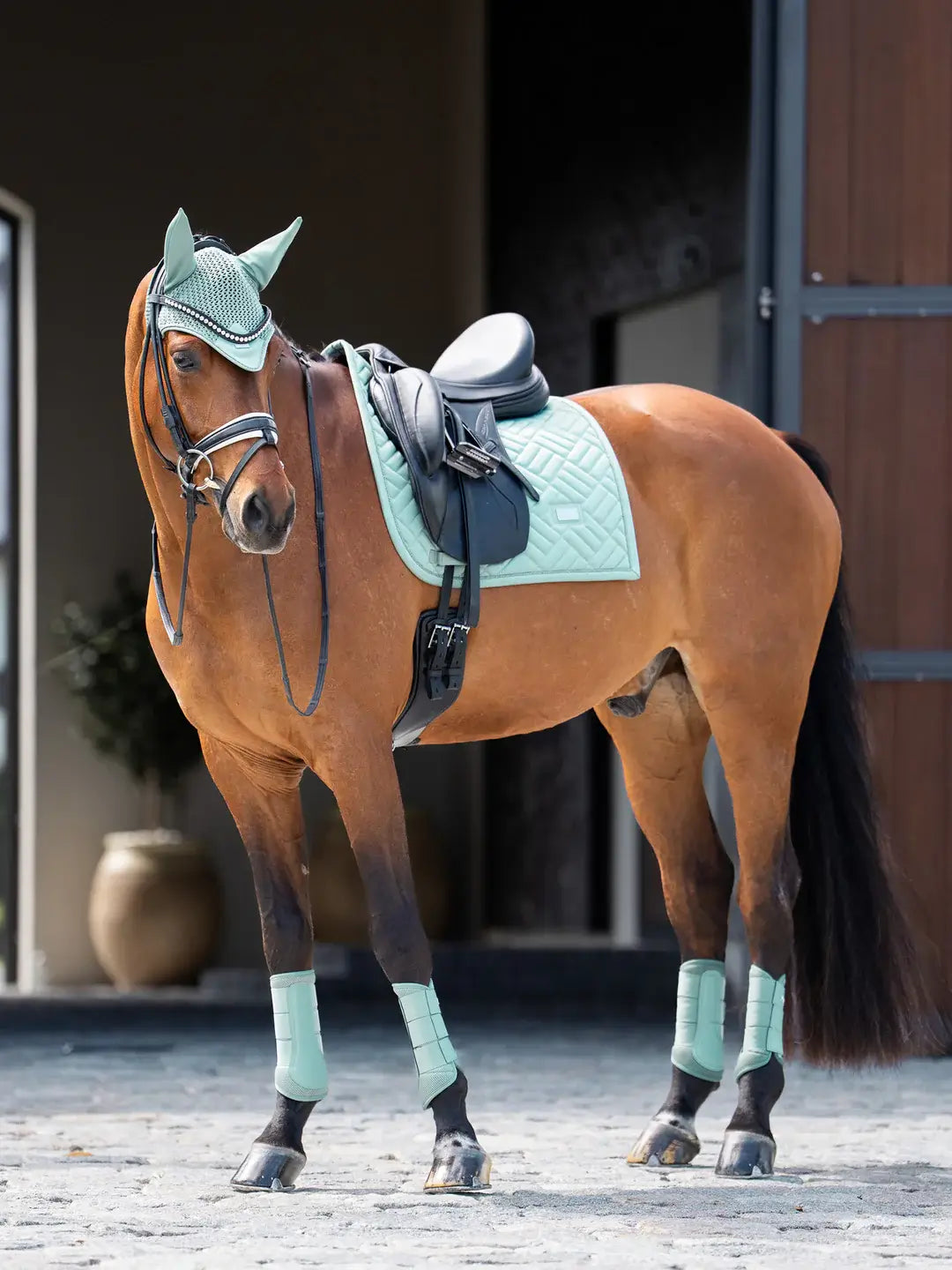 Equestrian Stockholm Huva - Mint green
