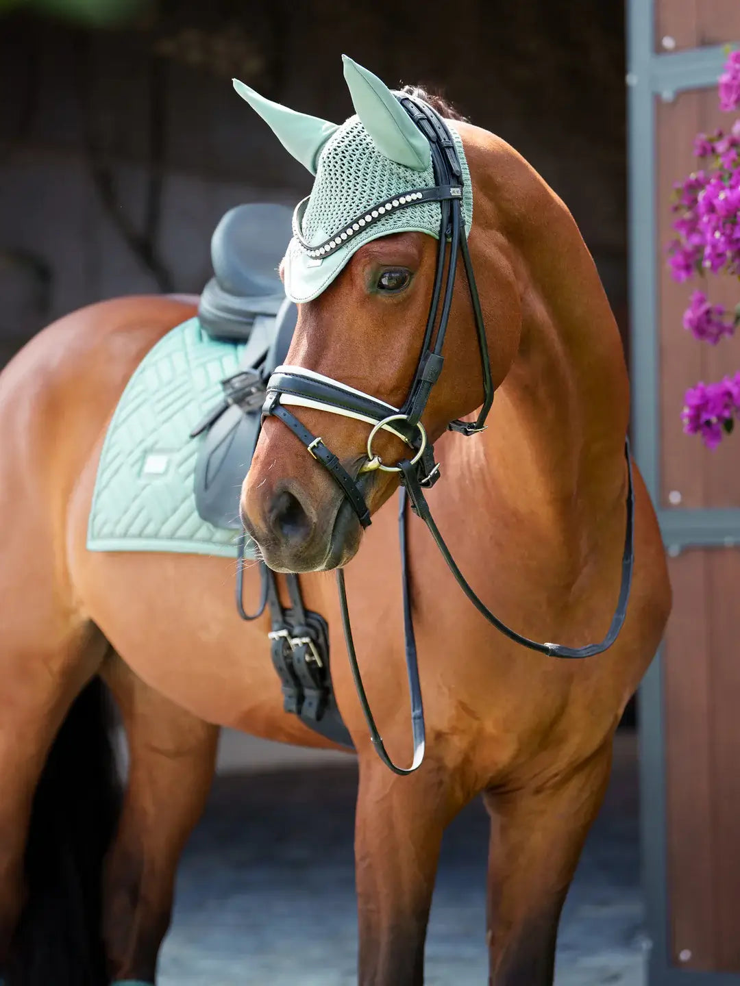 Equestrian Stockholm Huva - Mint green