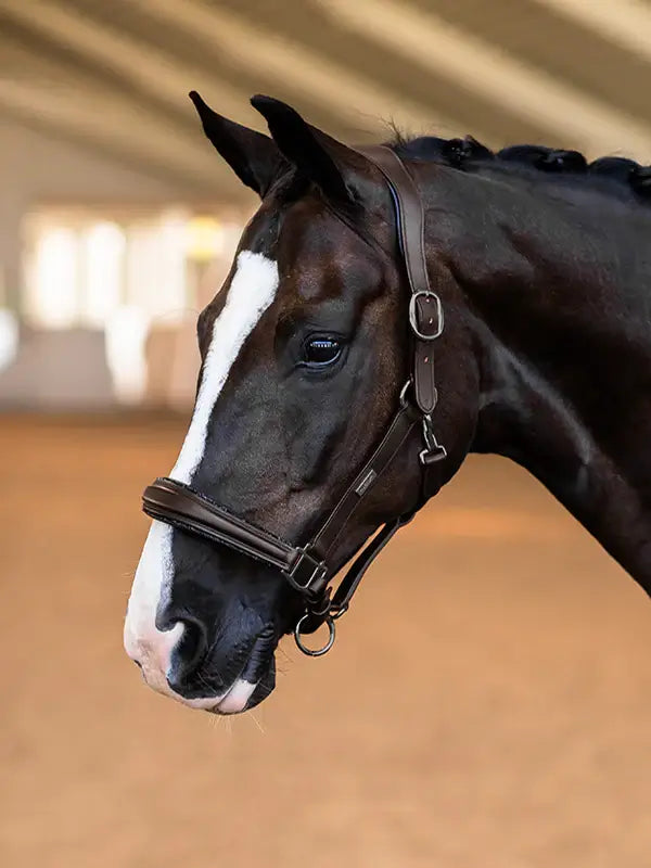 Equestrian Stockholm Lädergrimma - All Brown
