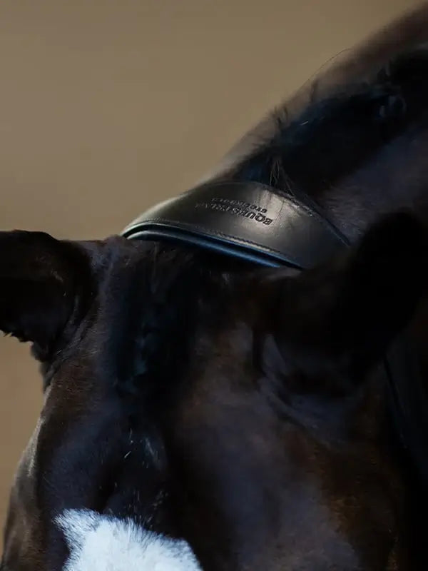 Equestrian Stockholm Lädergrimma - Black Edition