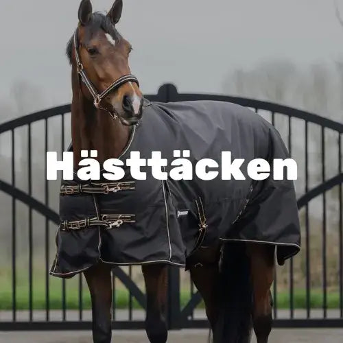 hästtäcken för alla årstider till alla hästar