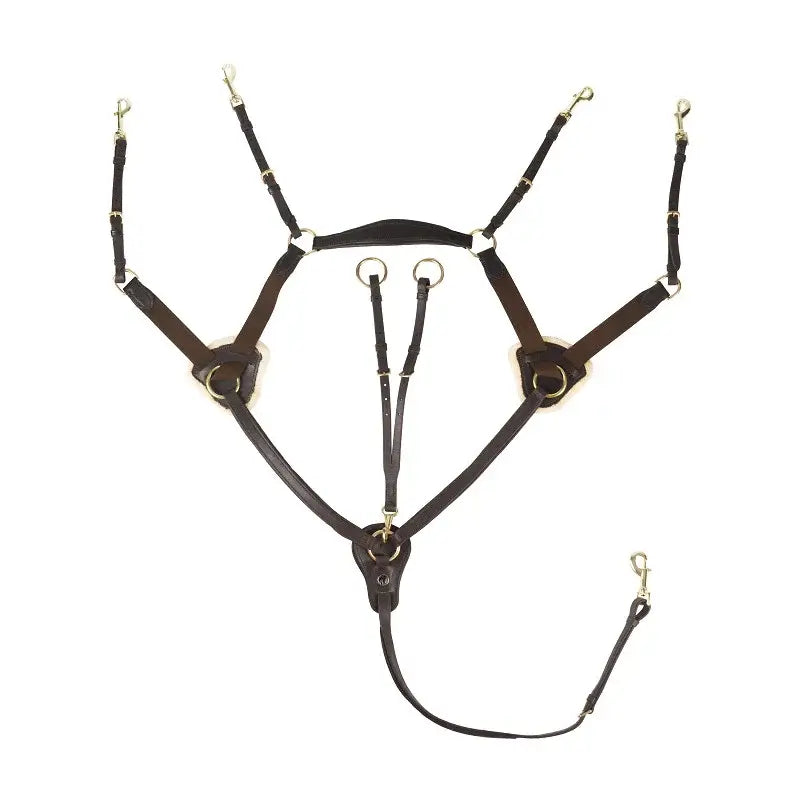 Horka 5-punkts bröstsele - Brun/Guld