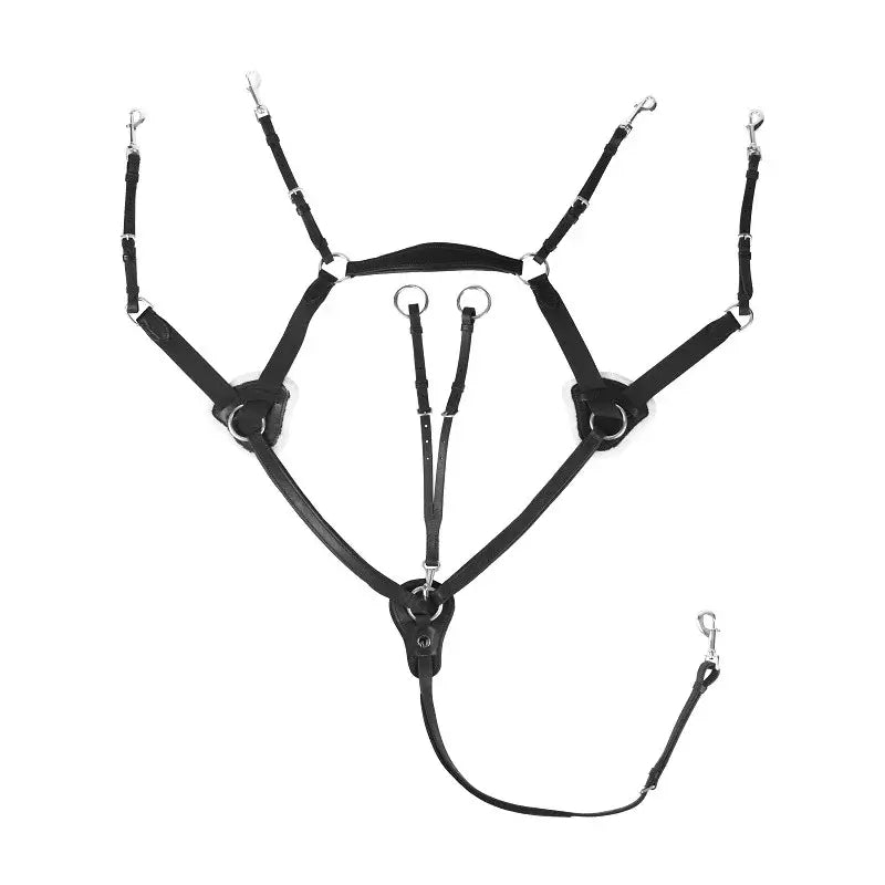 Horka 5-punkts bröstsele - Svart