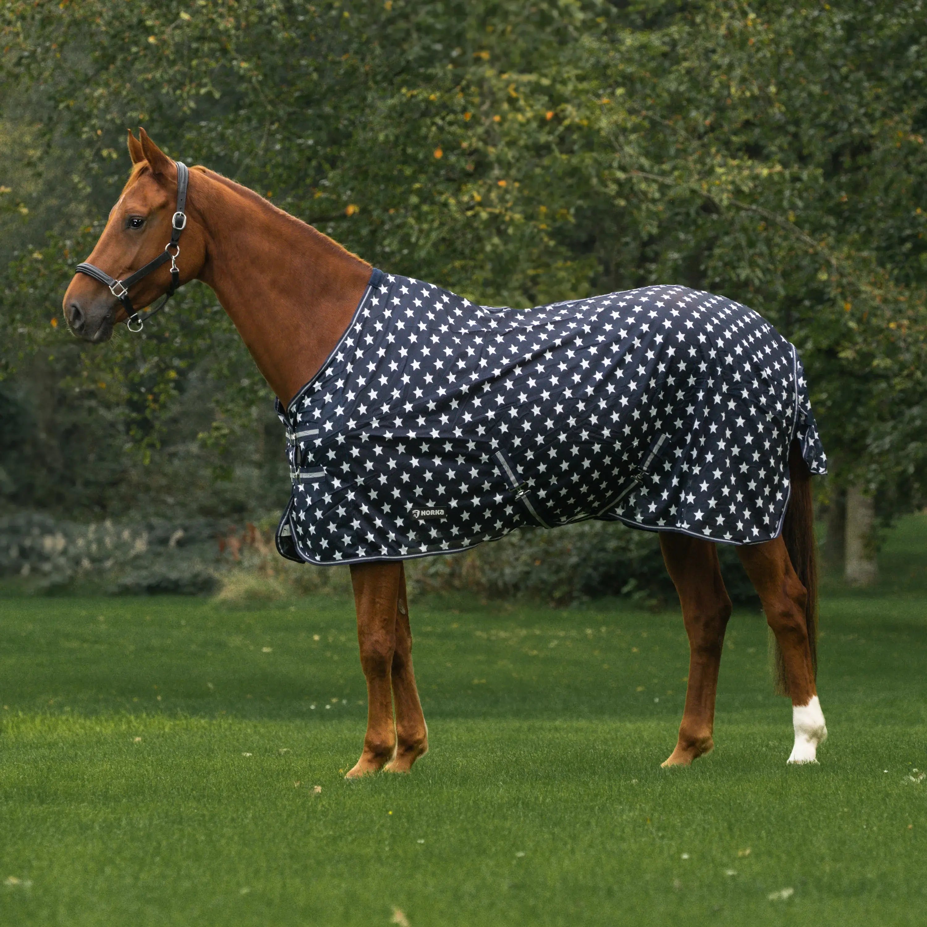 Horka Flugtäcke - Marinblå med Tryck