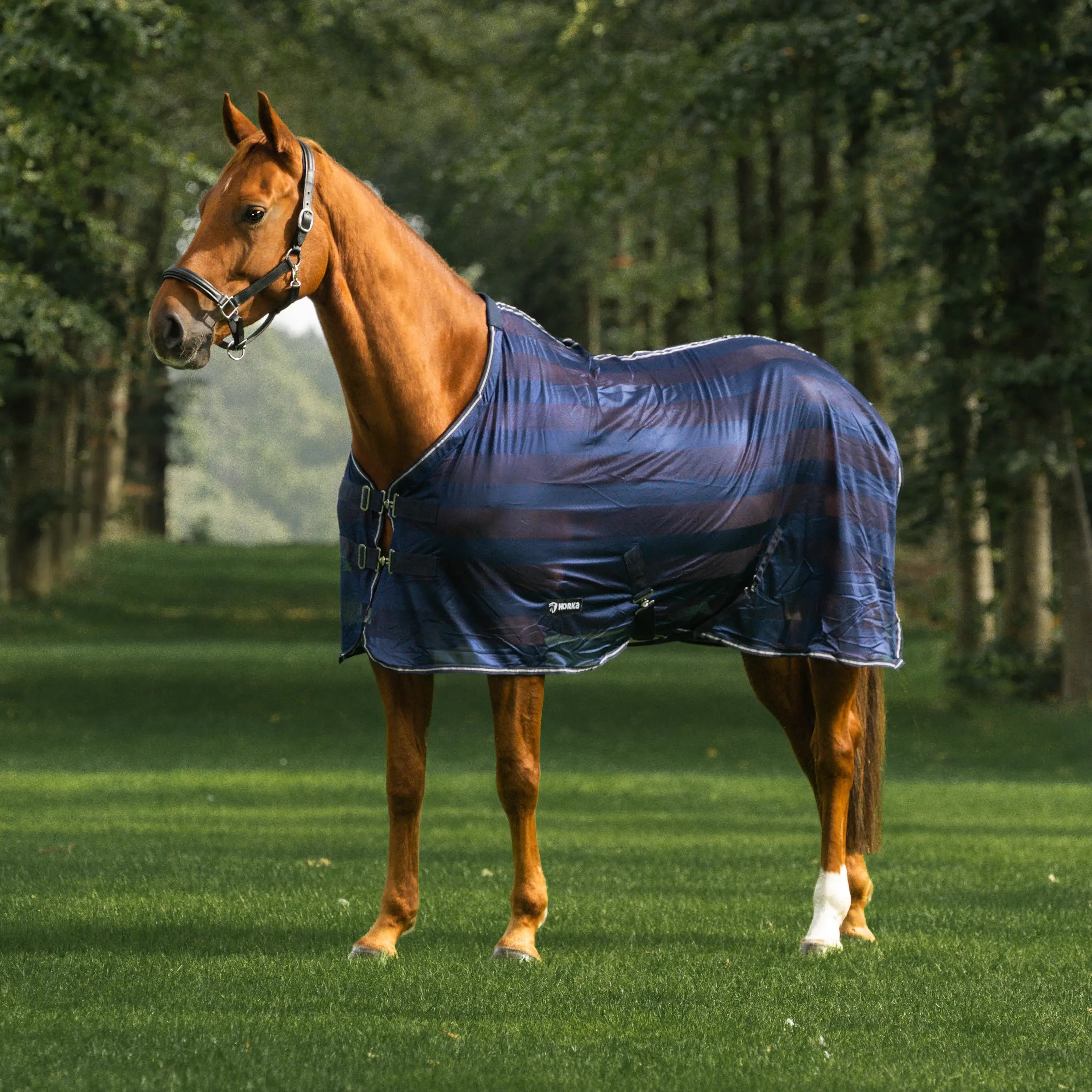 Horka Flugtäcke med ränder - Marinblå