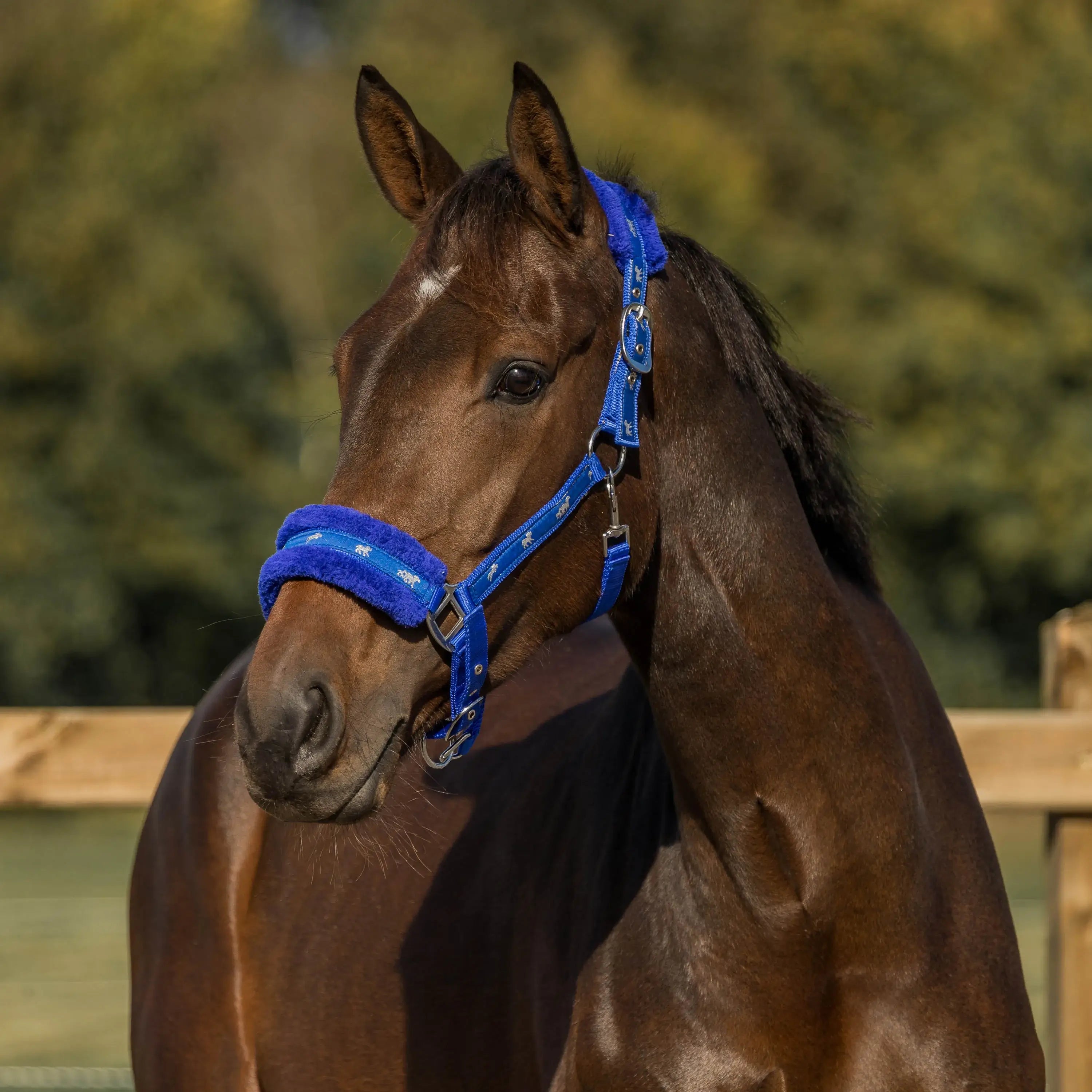 Horka Grimma, fuskpäls på nosgrimma & nackstycke - Blå