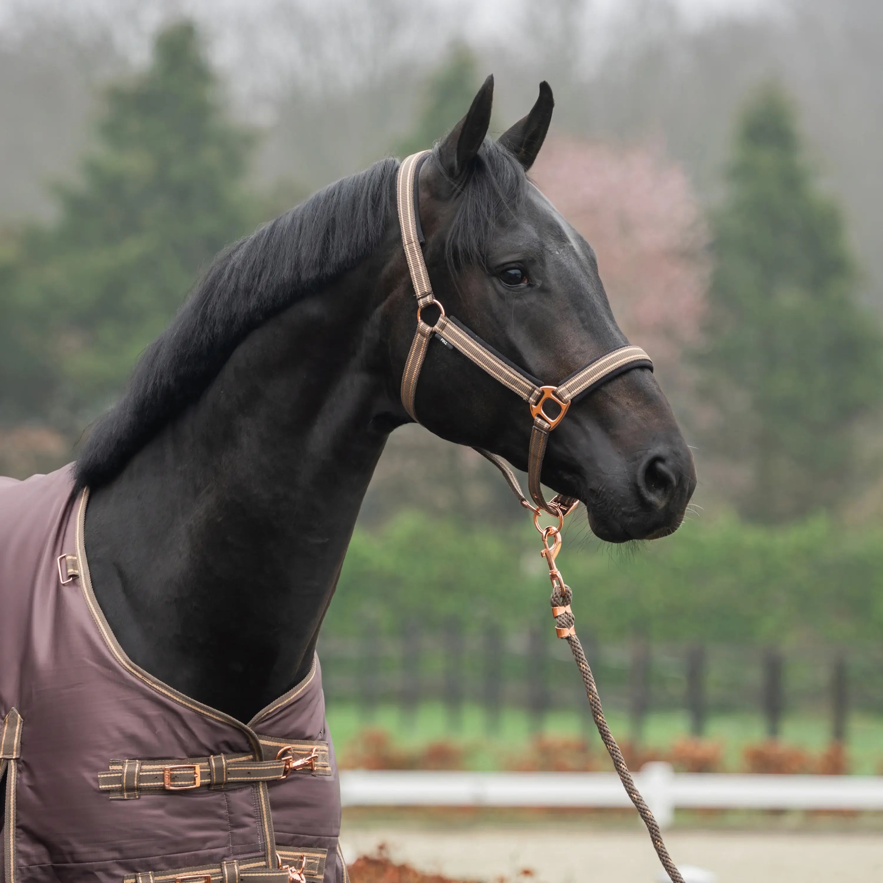 Horka Grimma & 200 cm grimskaft & karbinhake - Brun