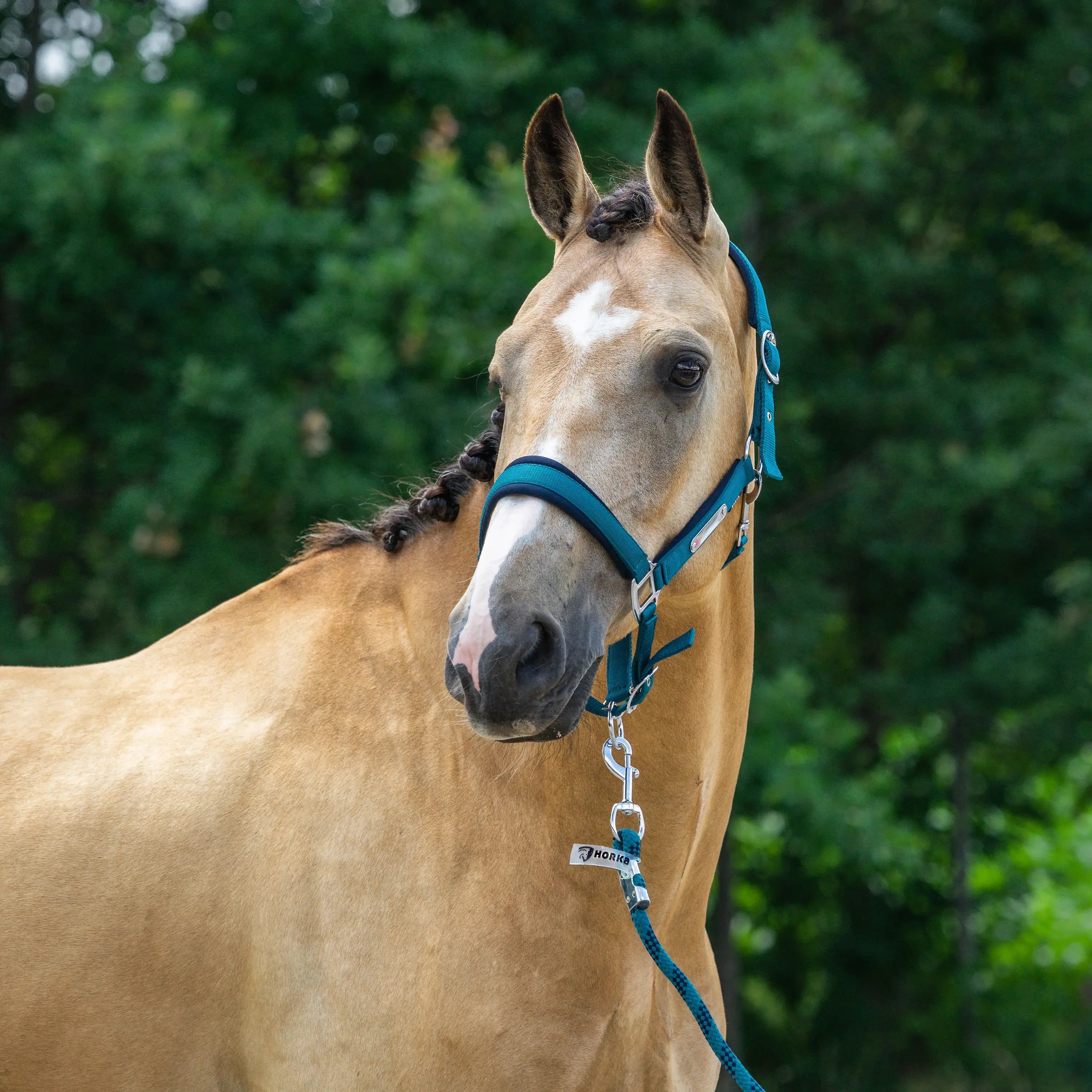 Horka Grimma & 200 cm grimskaft Classic Delight - Blå
