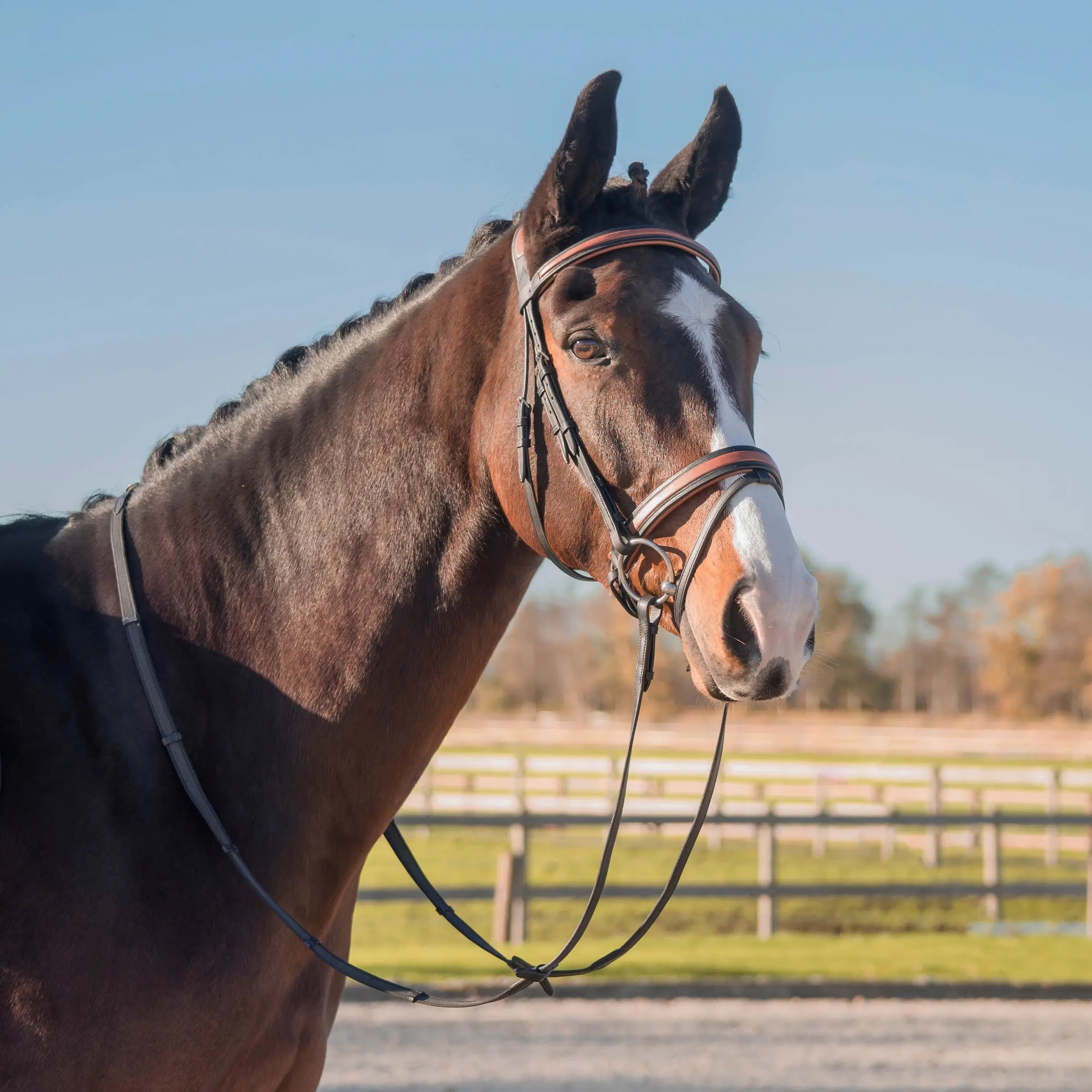 Horka Träns - Svart/Cognac