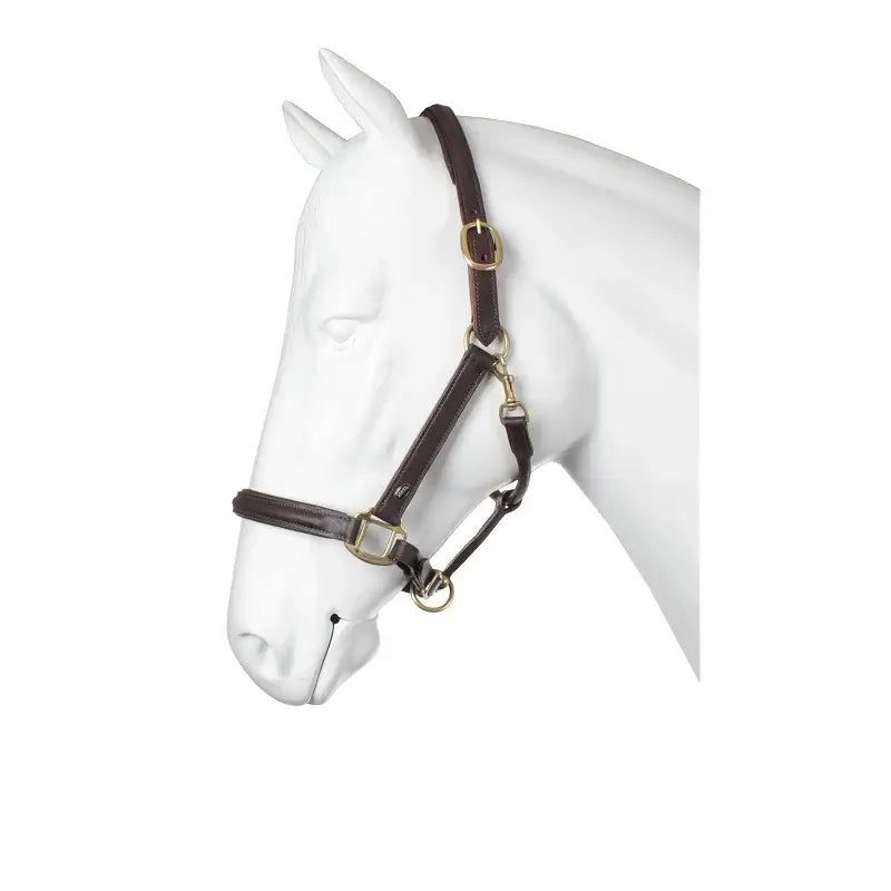 Horka Lädergrimma - Brun/Guld