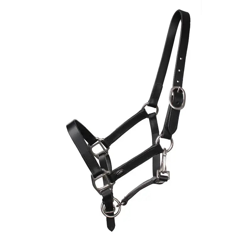 Horka Lädergrimma för föl - Svart