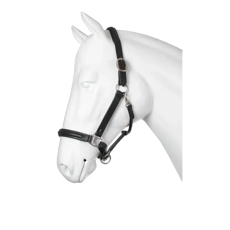 Horka Lädergrimma - Svart