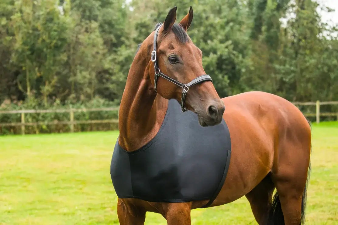 Horka Mankskydd - Svart