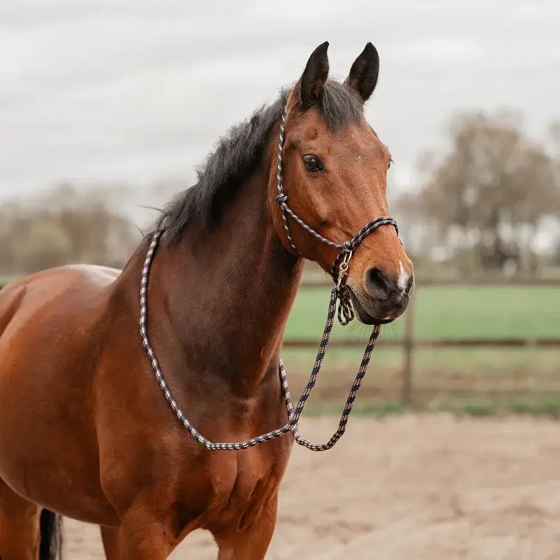 Horka Tvåfärgat repgrimmeset med tyglar - Marinblå