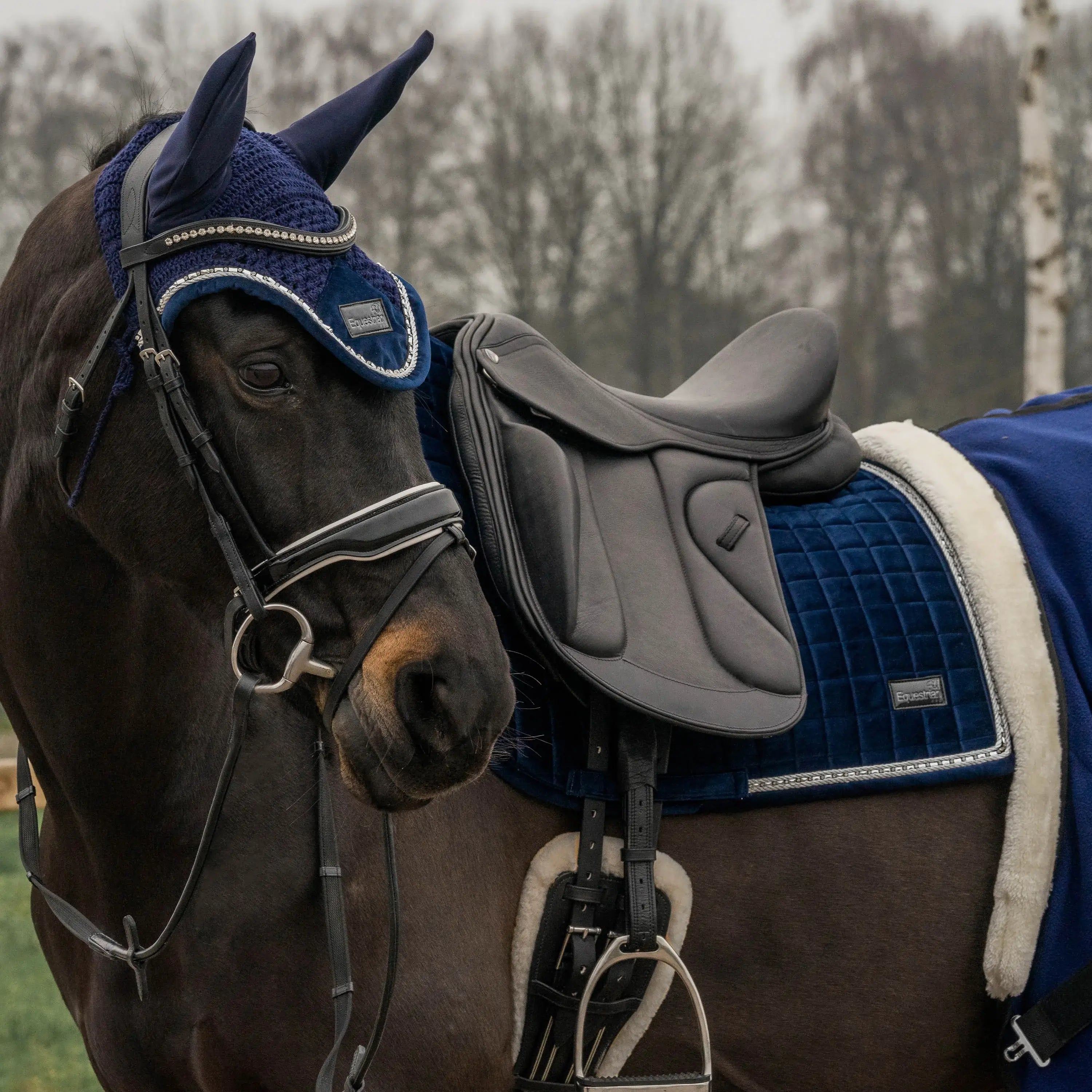 Horka Schabrak Equestrian Pro Velvet Dressyr - Marinblå