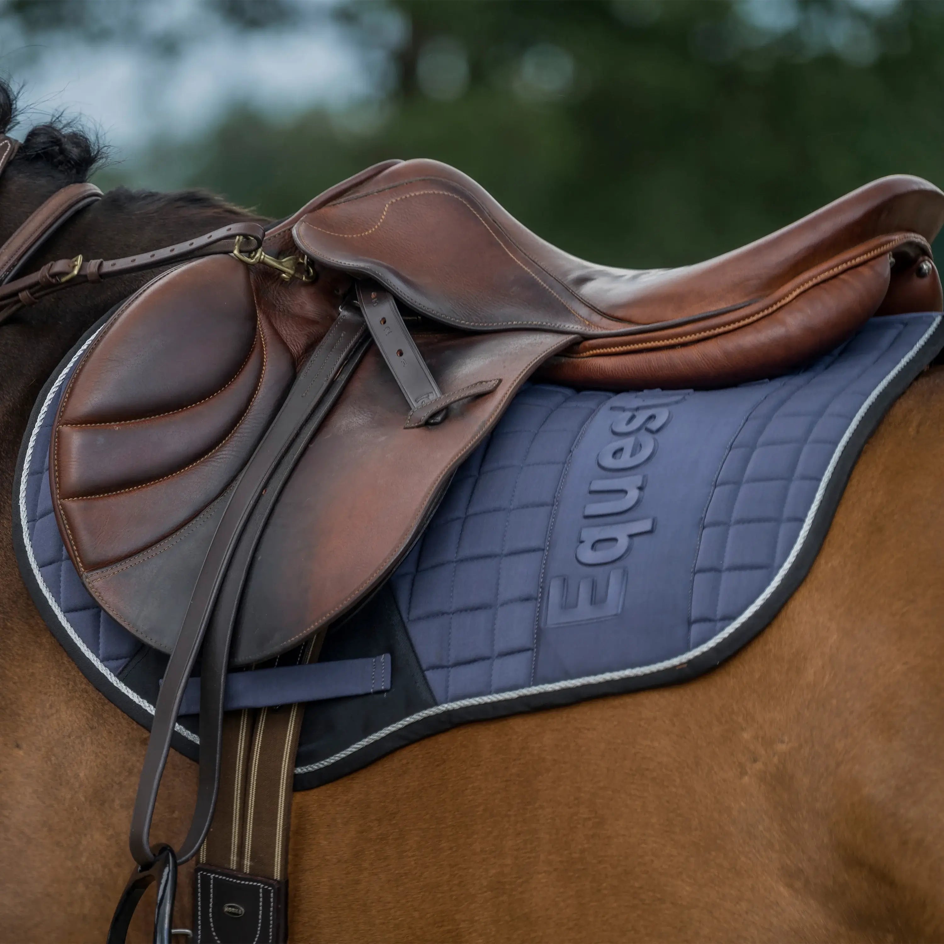 Horka Schabrak Equestrian Pro Hopp & Allround - Mörkgrå