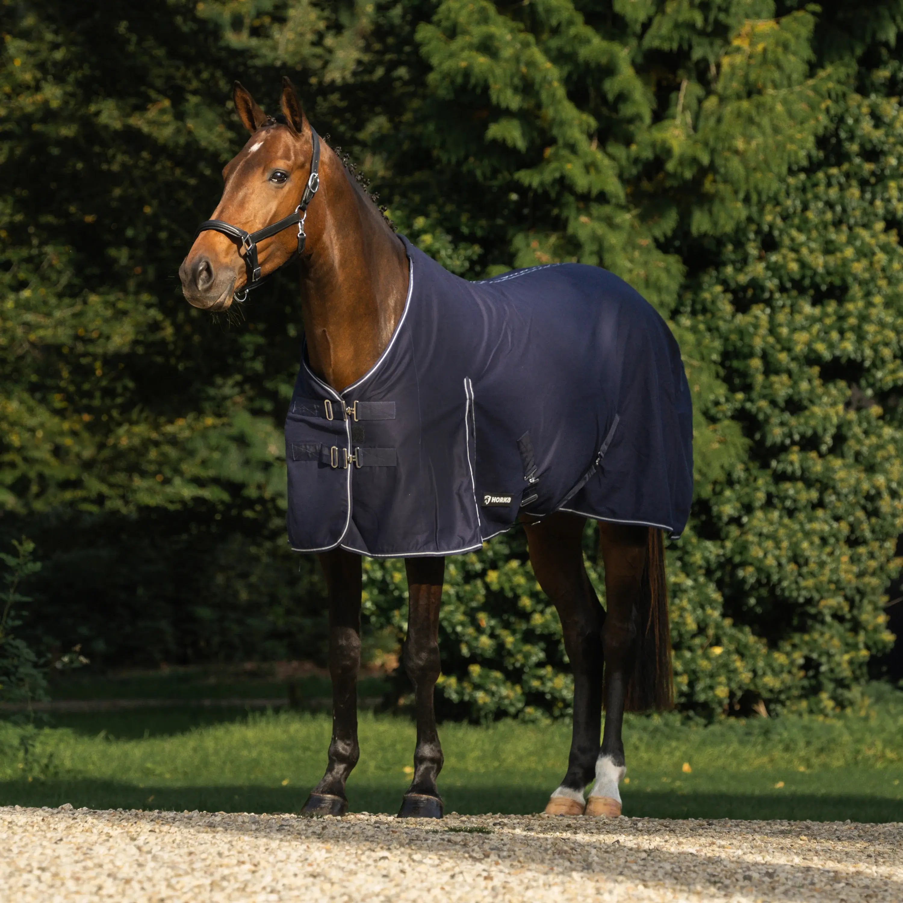 Horka Svettäcke i bomull/polyester - Marinblå