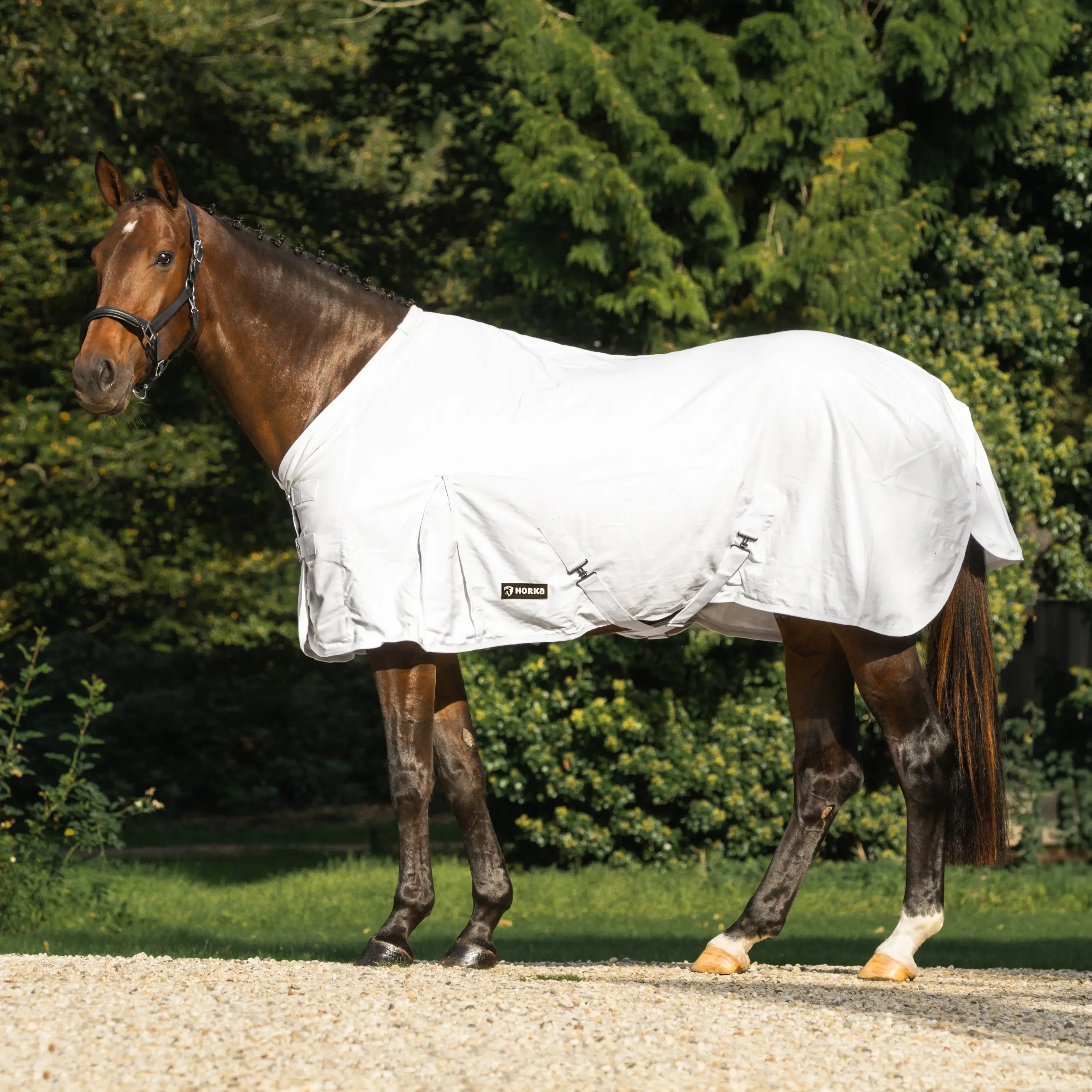 Horka Svettäcke i bomull/polyester - Vit