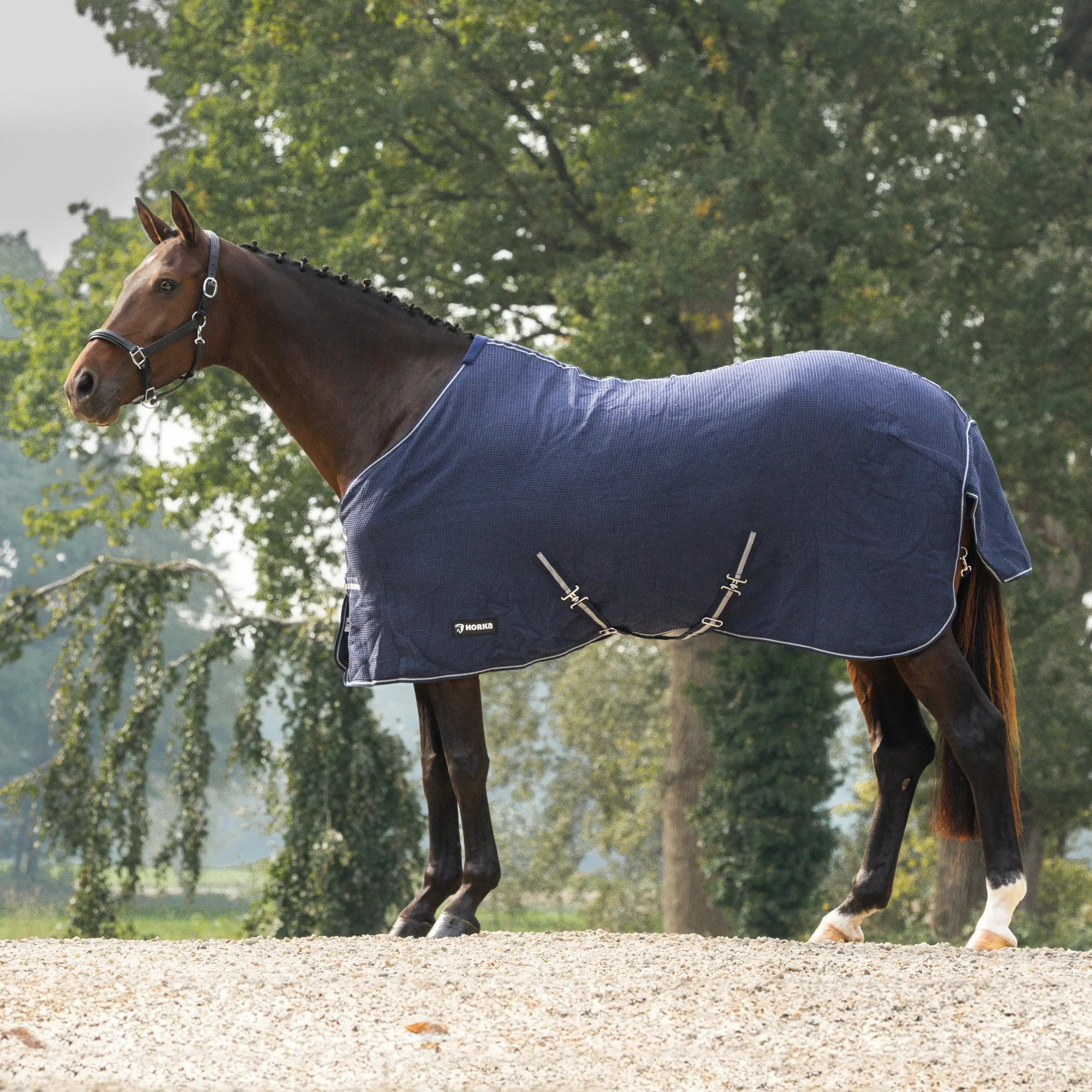 Horka Svettäcke i bomull (Waffle) - Marinblå